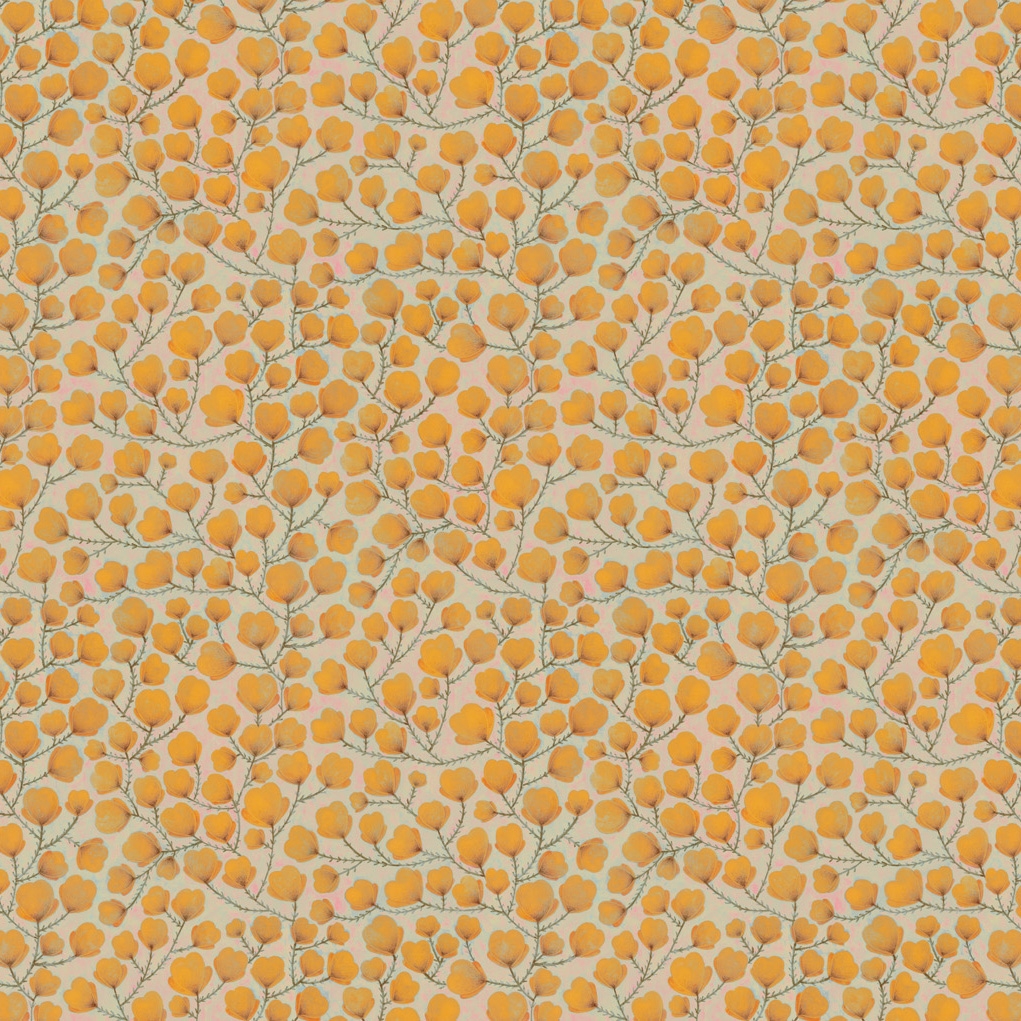 Meet Me | Meet Me Orange