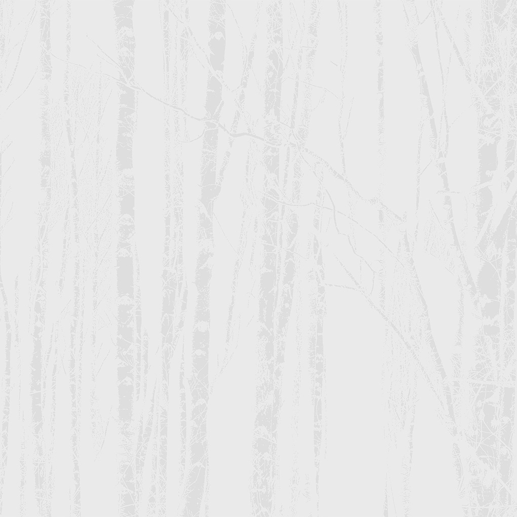 Nordicity | Nordicity Silver