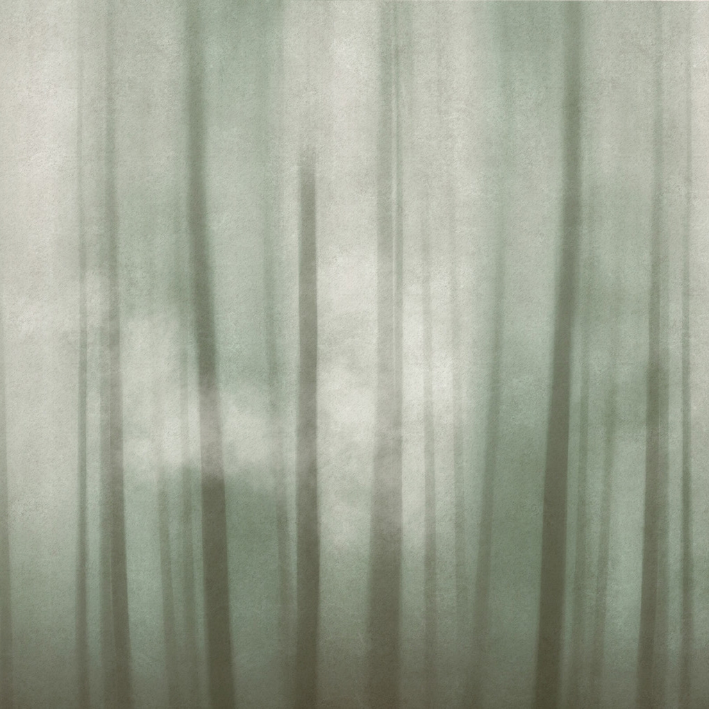 Shadows | Shadows Hope