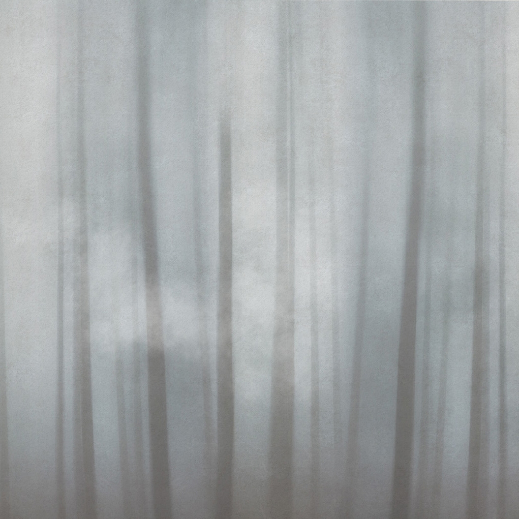 Shadows | Shadows Therapy