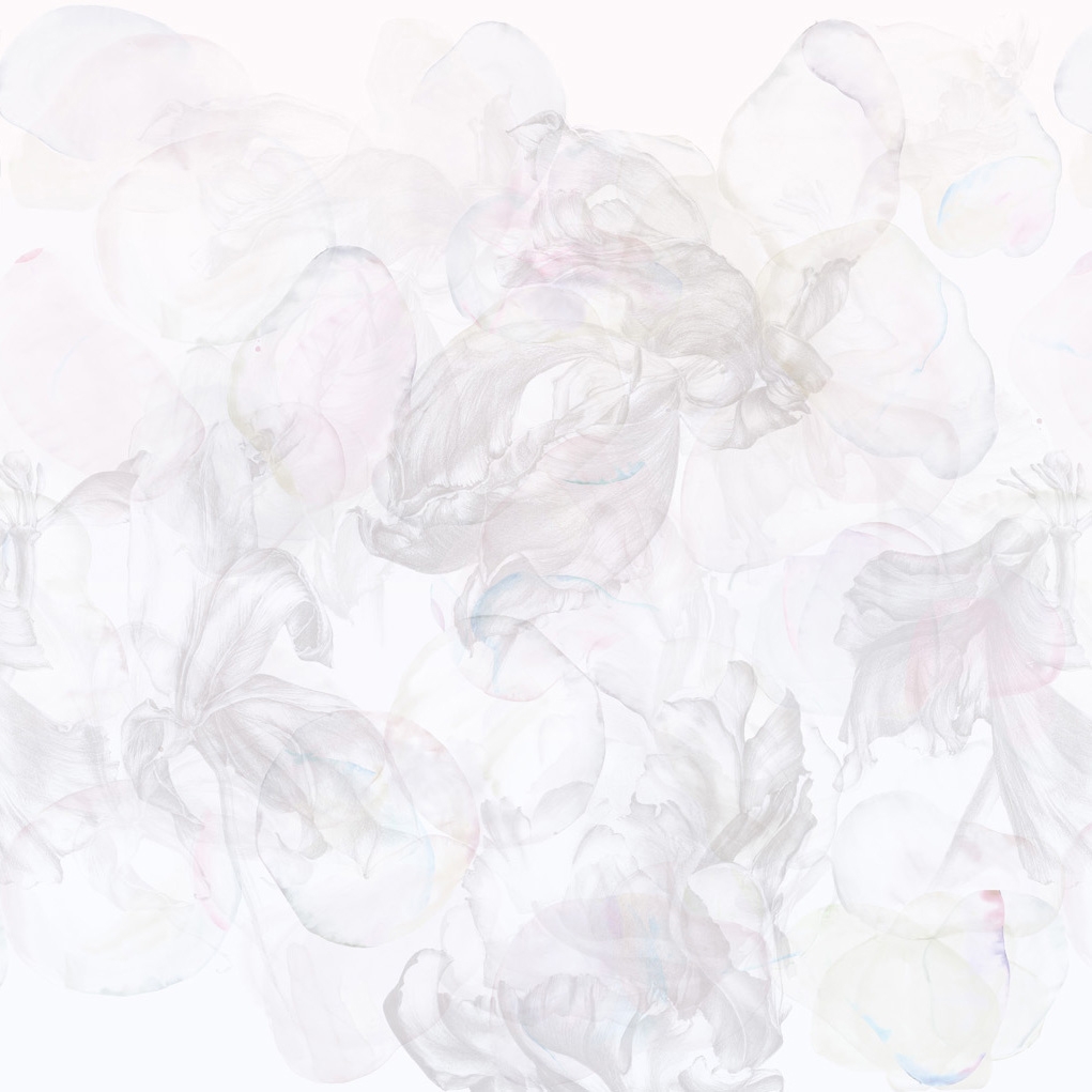 Levity | Levity Allure