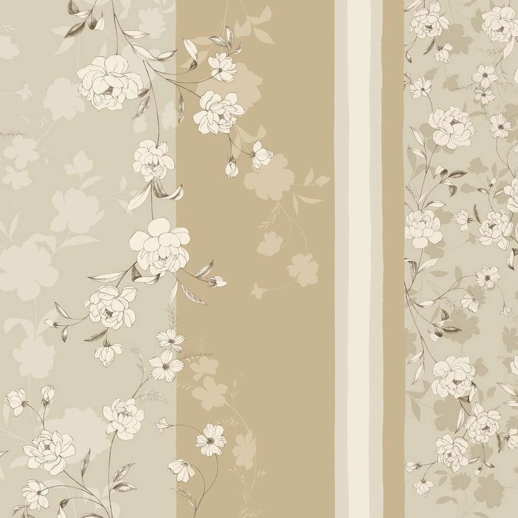 Timeless | Timeless Calm