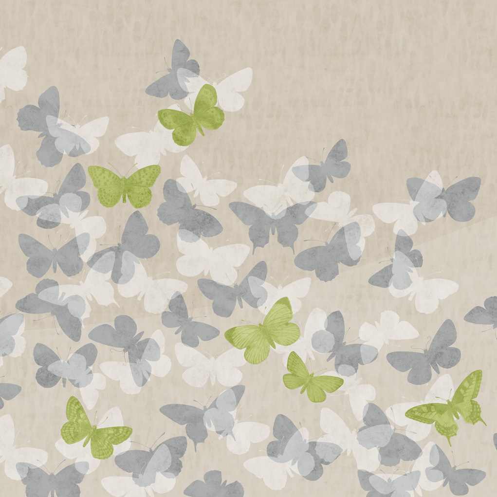 Volo | Volo Protetto