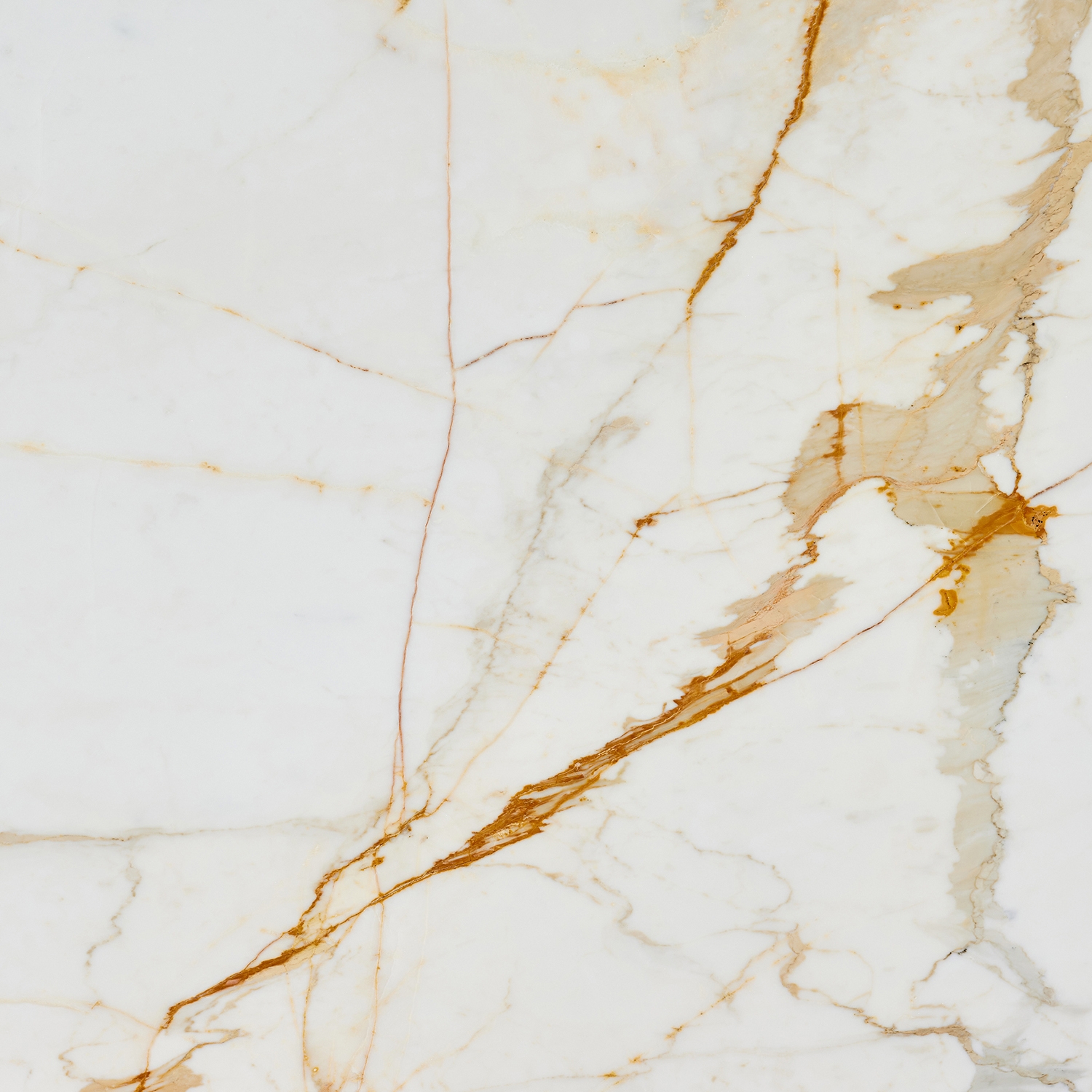 Afficher le produit White natural stones | Calacatta Oro du fabricant Margraf