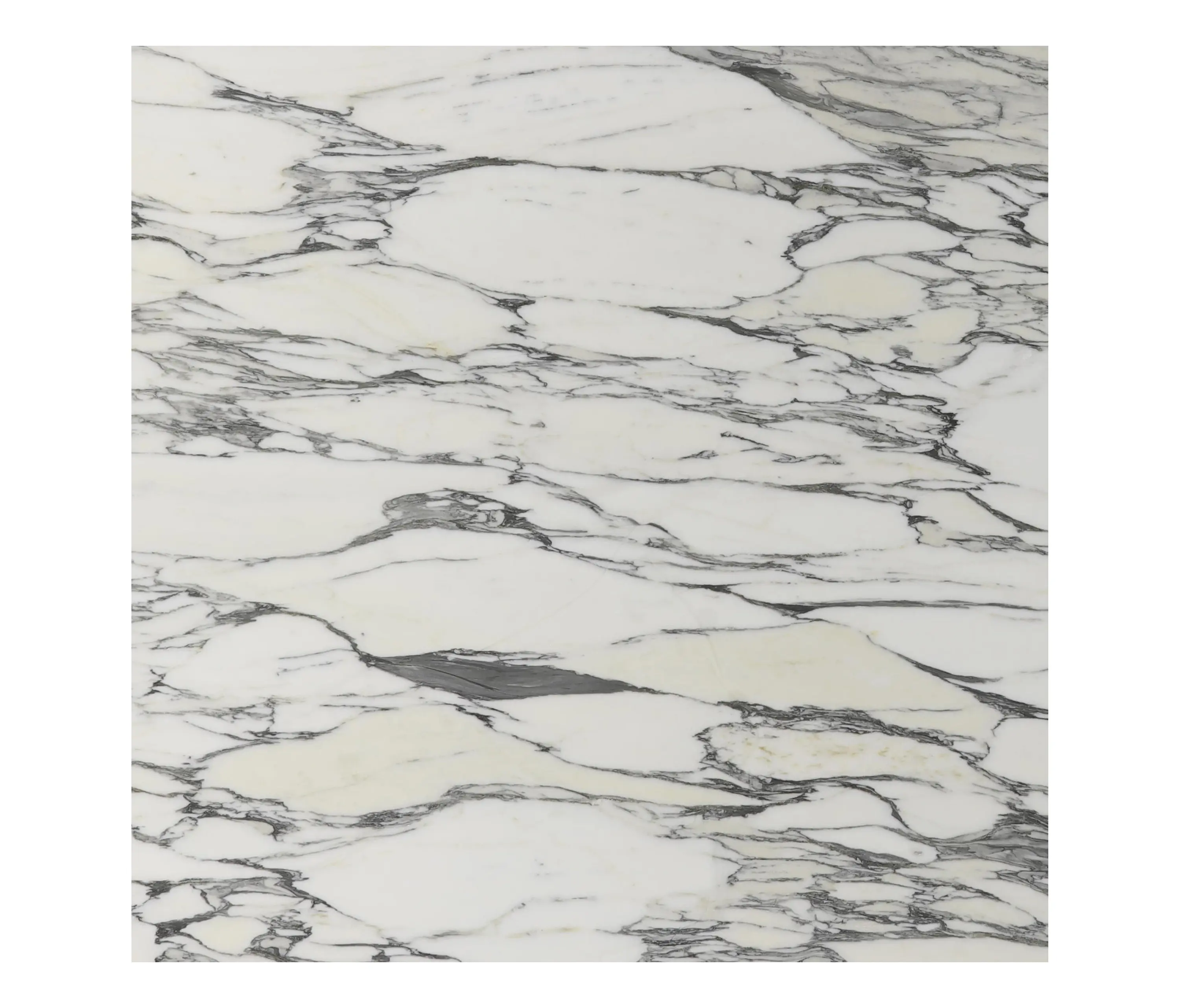 Margraf - White natural stones | Arabescato Corchia