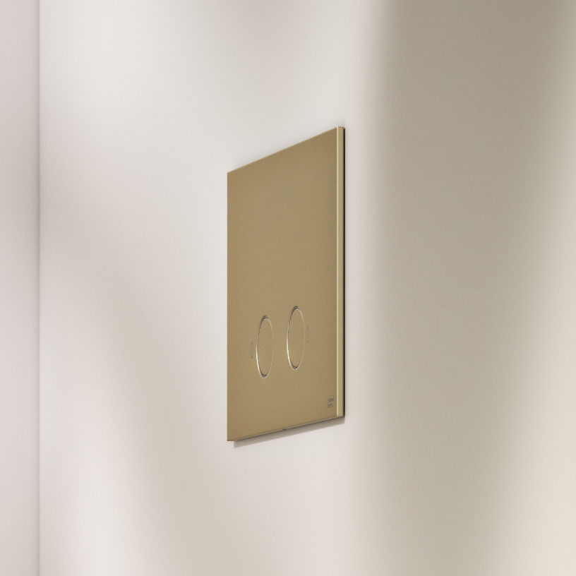 Toilet Flushplate