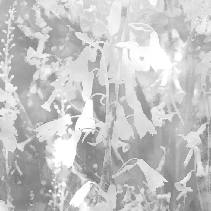 Feathr - Abstract Meadow - Monochrome