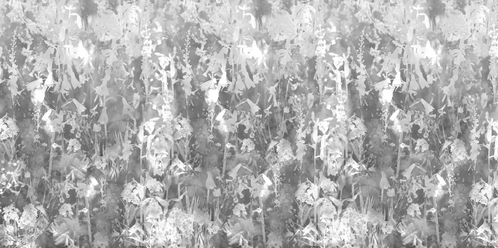 Feathr - Abstract Meadow - Monochrome