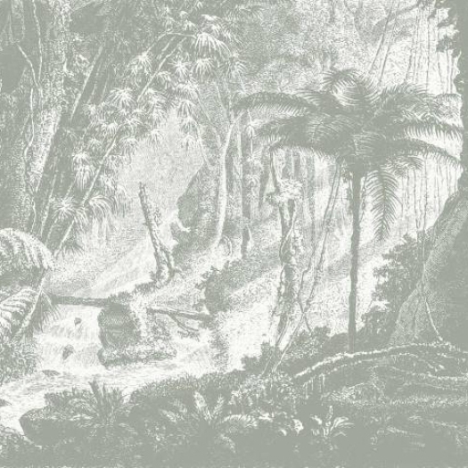 Mostra il prodotto Amazonia - Grey del produttore Feathr