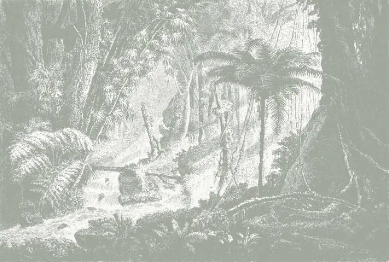 Feathr - Amazonia - Grey
