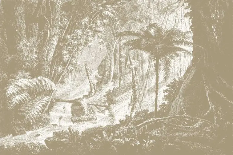 Feathr - Amazonia - Tan