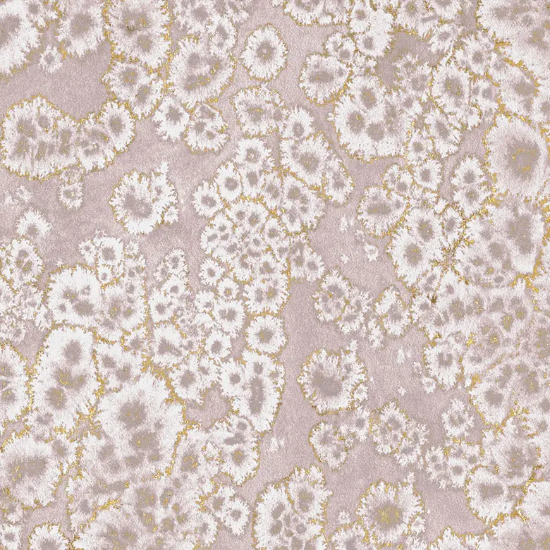 Feathr - Archipelago Gold - Seashell