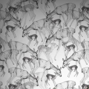 Display product Astray - Charcoal from manufacturer Feathr