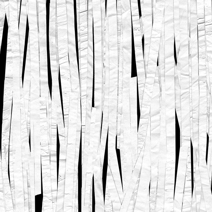 Bed Of Reeds - Monochrome