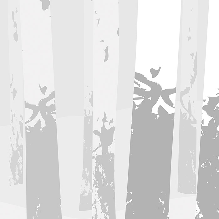 Birch Forest - Grey