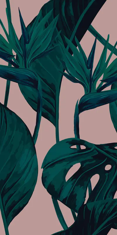 Feathr - Bird of Paradise - Blush