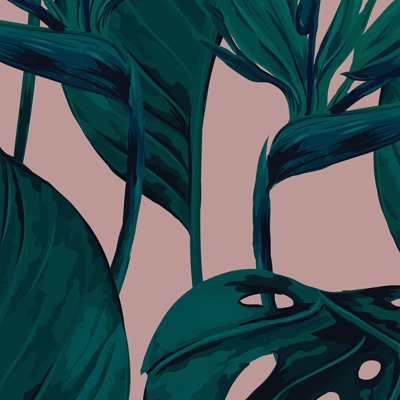 Bird of Paradise - Blush