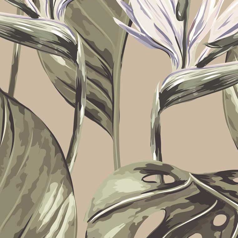 Bird of Paradise - Oat