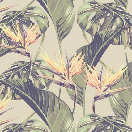 Bird of Paradise - Original