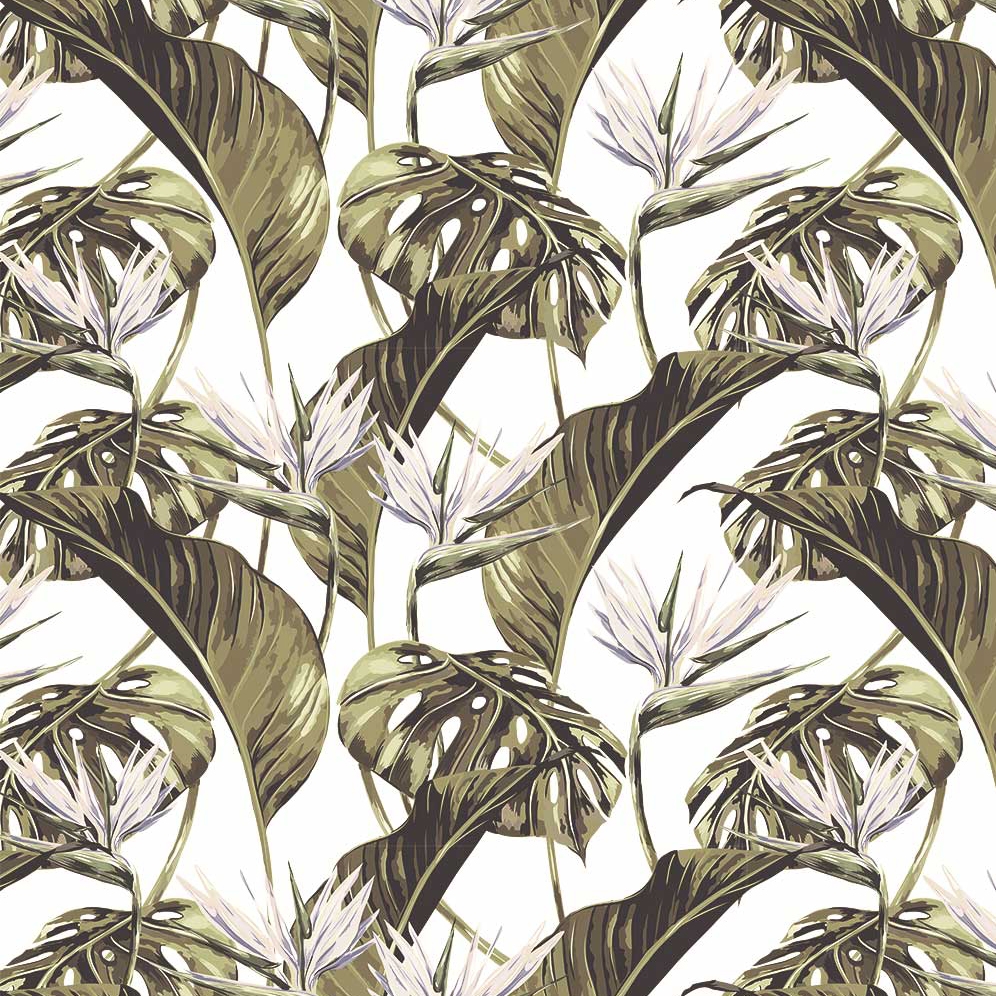 Bird of Paradise - White