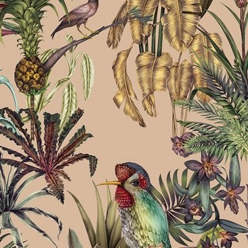 Birds Birds - Coral