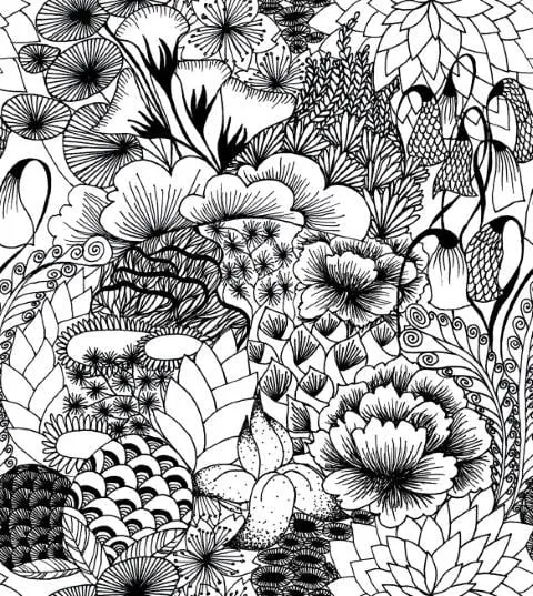 Feathr - Bloom - Monochrome