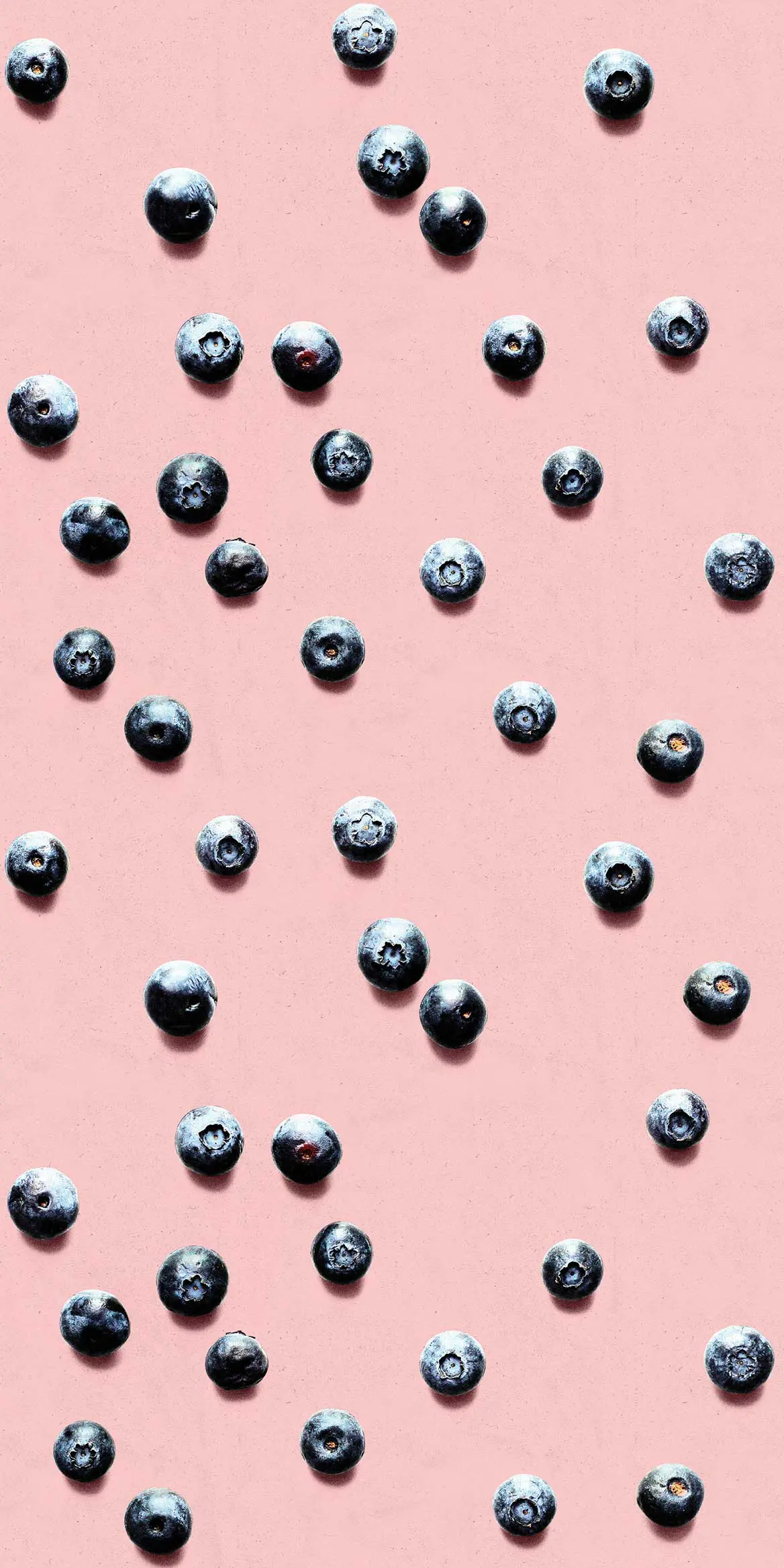 Feathr - Blueberry - Blush