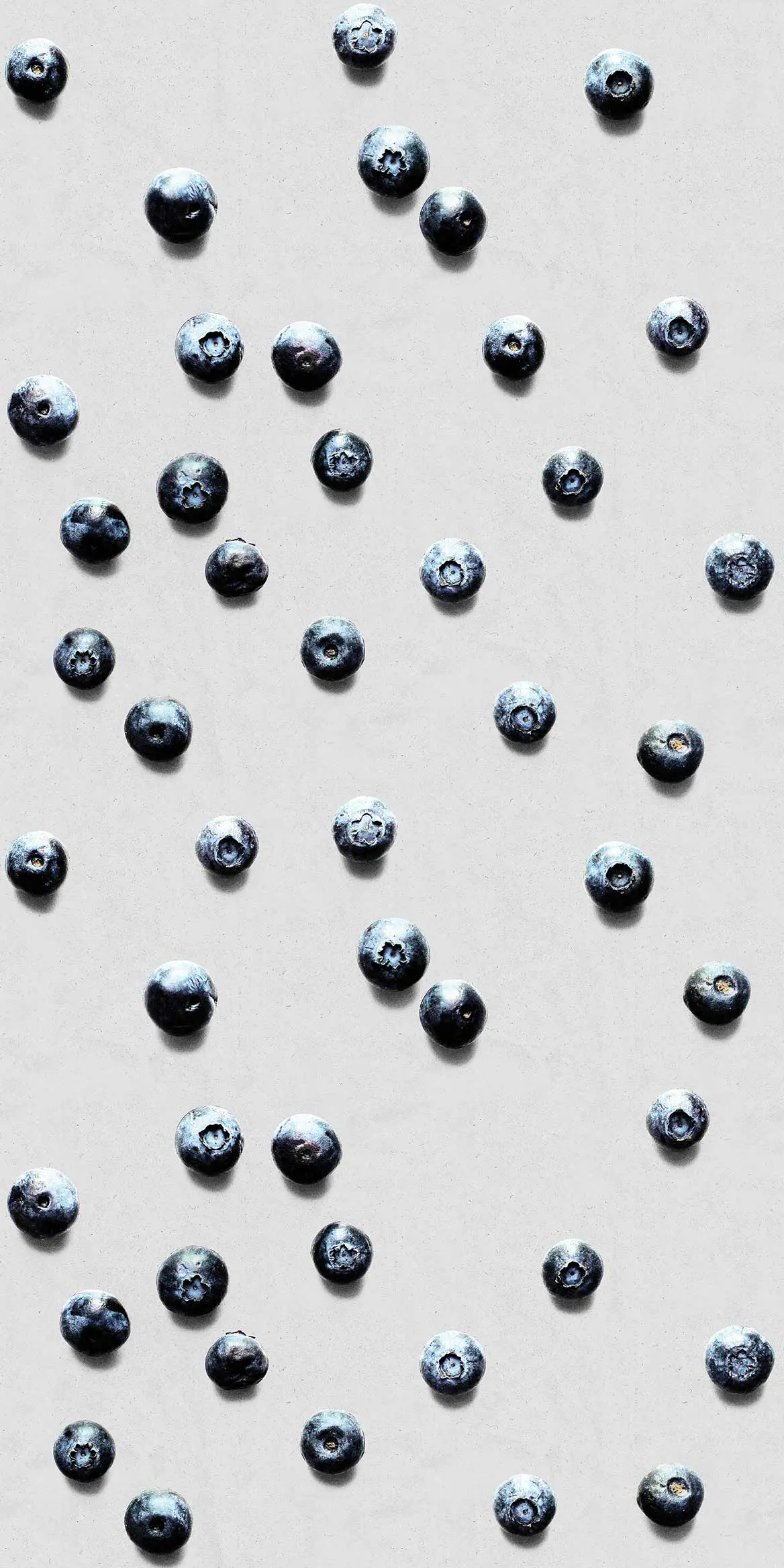 Feathr - Blueberry - Concrete