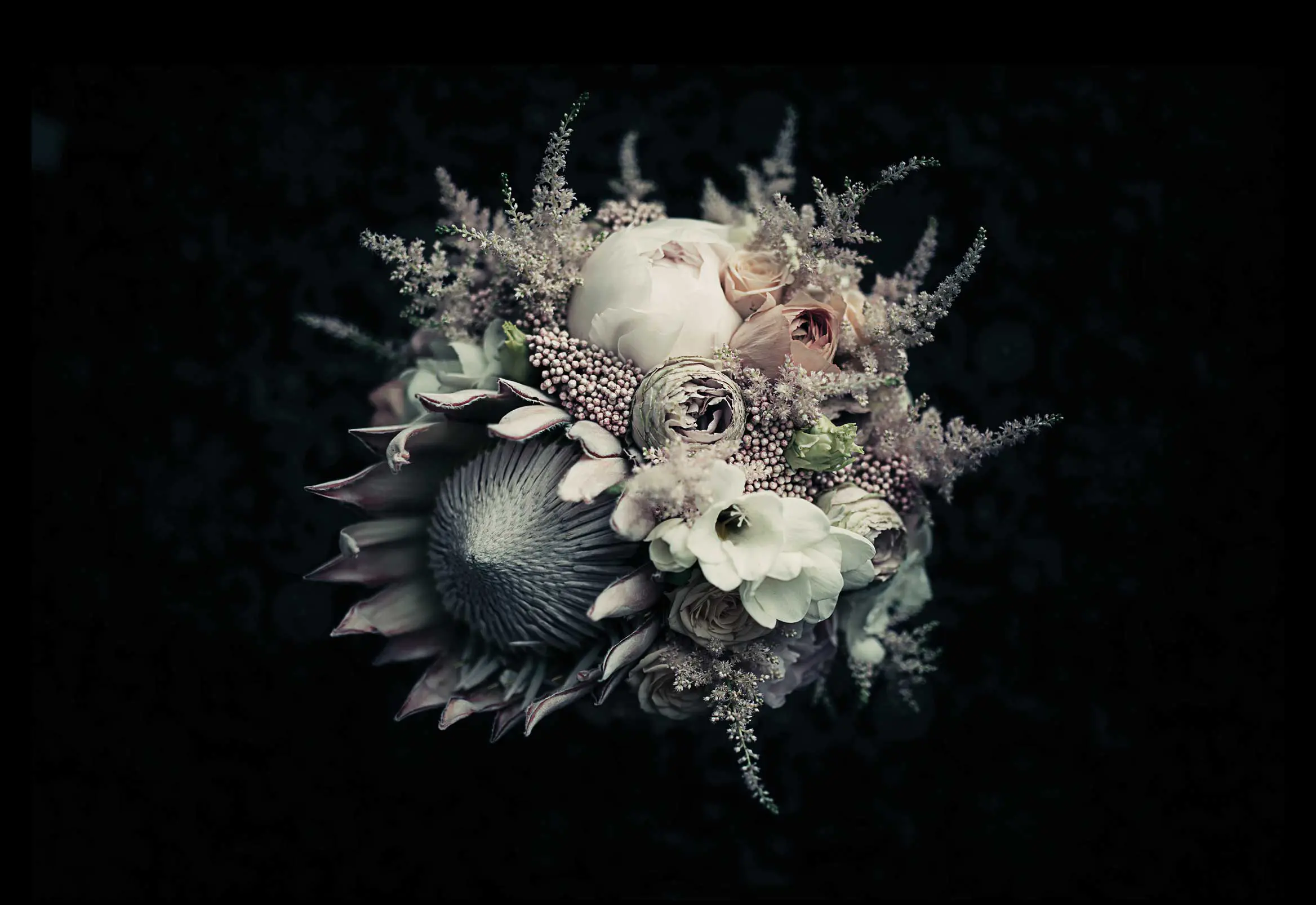 Feathr - Botanics IV - Original