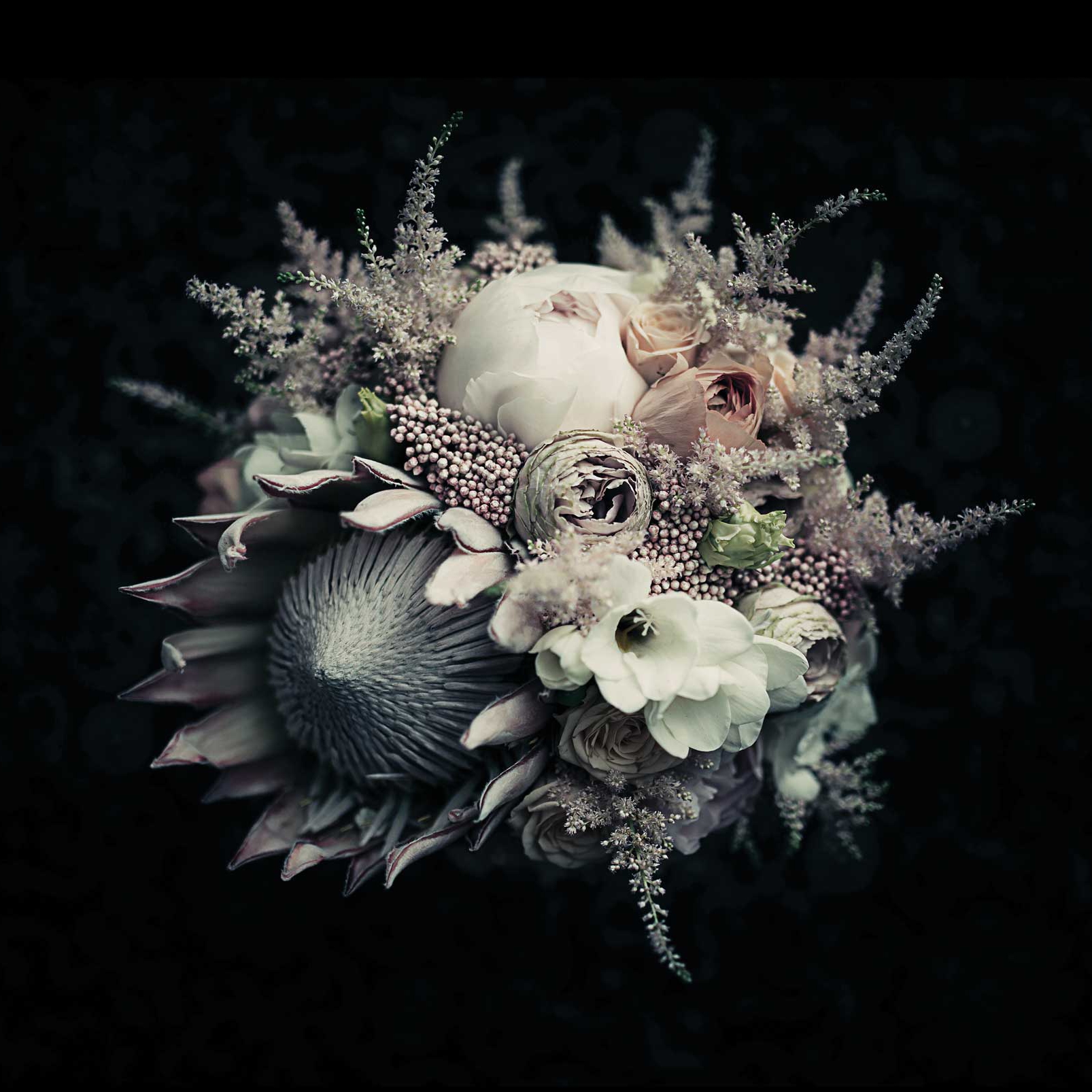 Mostra il prodotto Botanics IV - Original del produttore Feathr