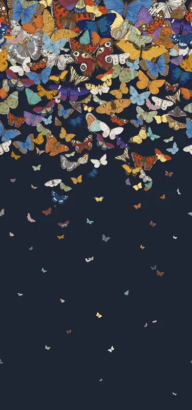Feathr - Butterfly Grove - Night