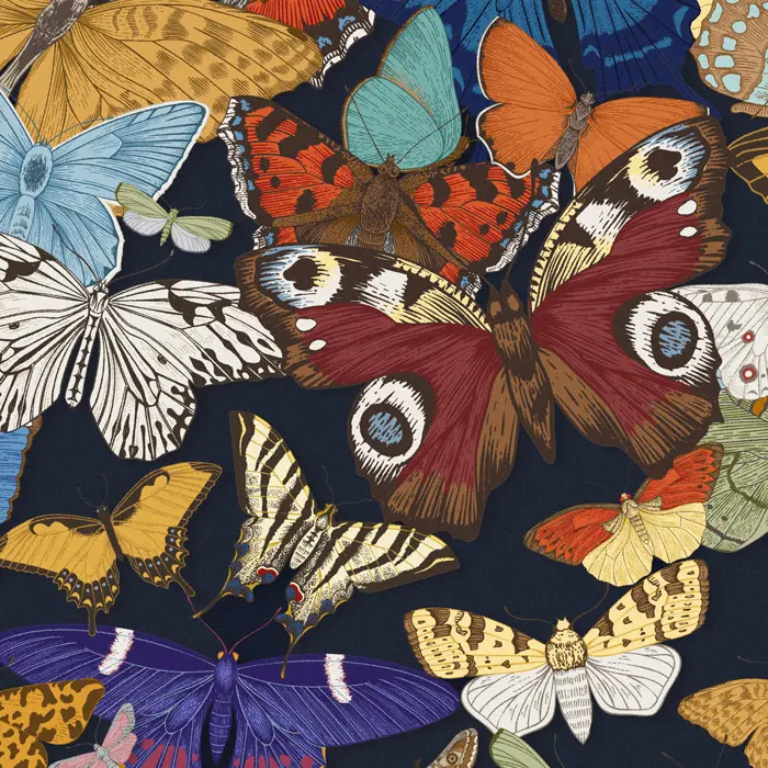 Feathr - Butterfly Grove - Night