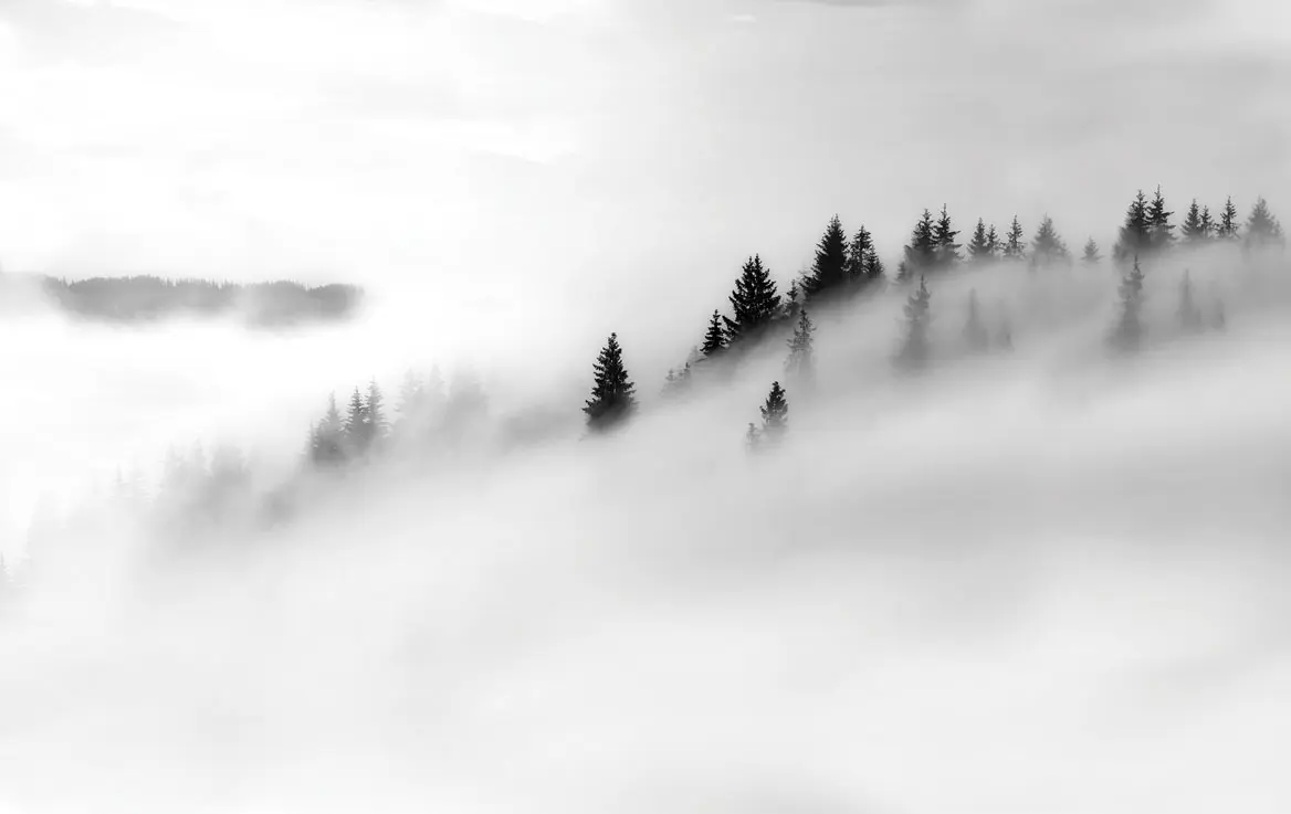 Feathr - Carpathia - Monochrome