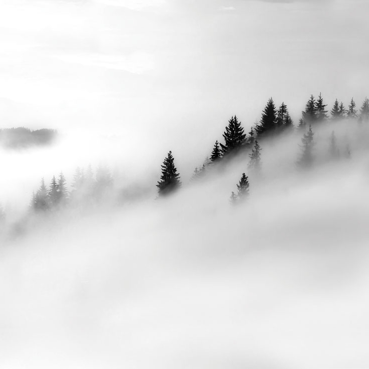 Carpathia - Monochrome