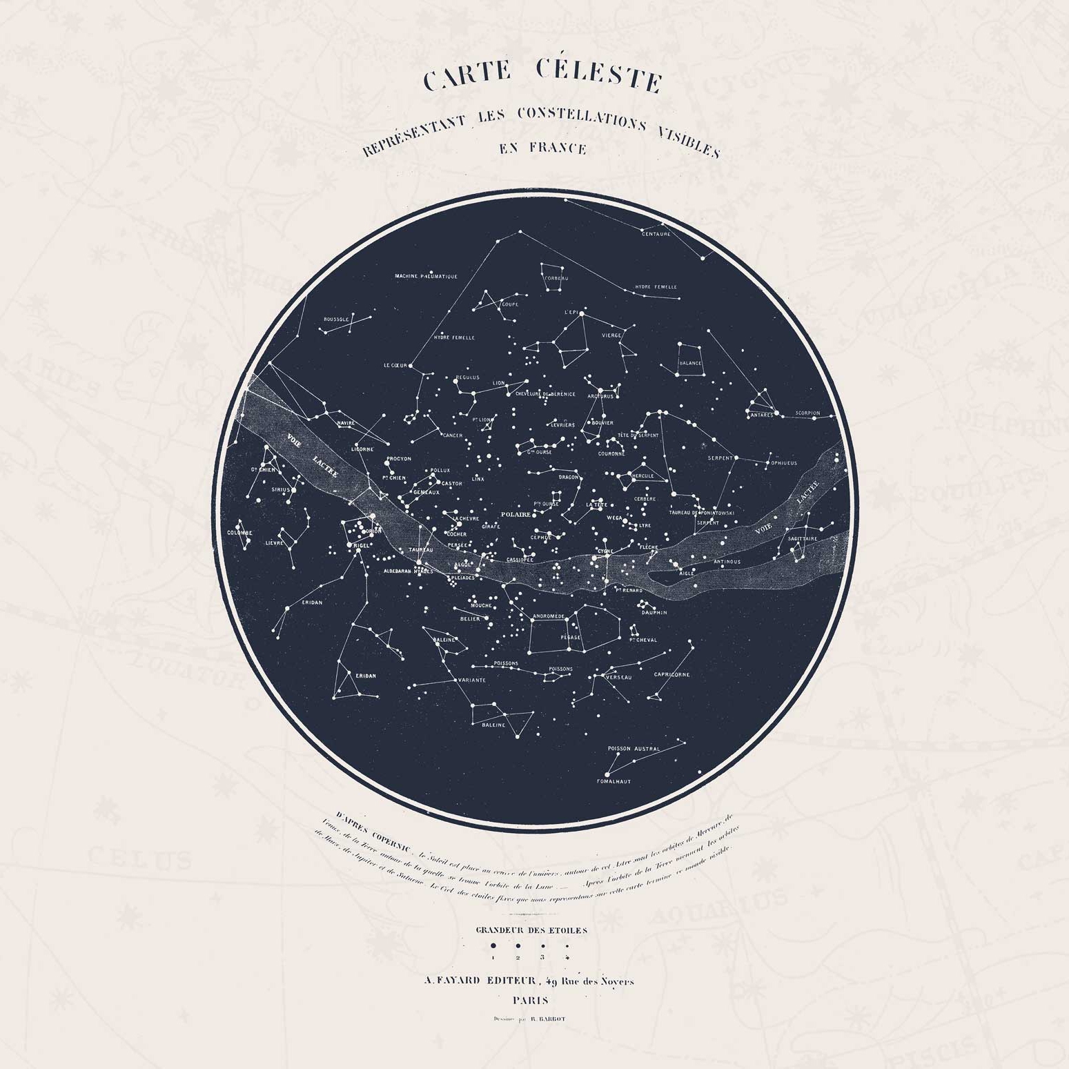 Display product Carte Celeste - Cream from manufacturer Feathr