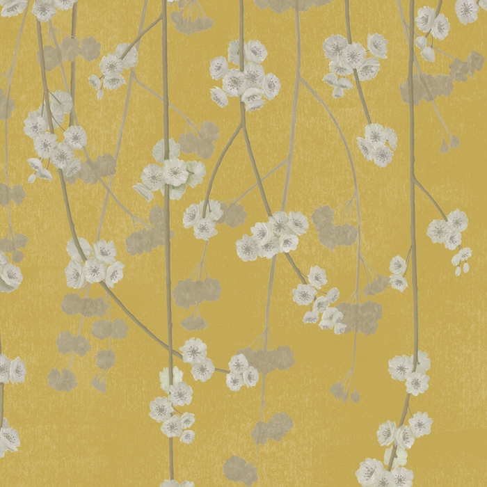 Cherry Blossom - Apple