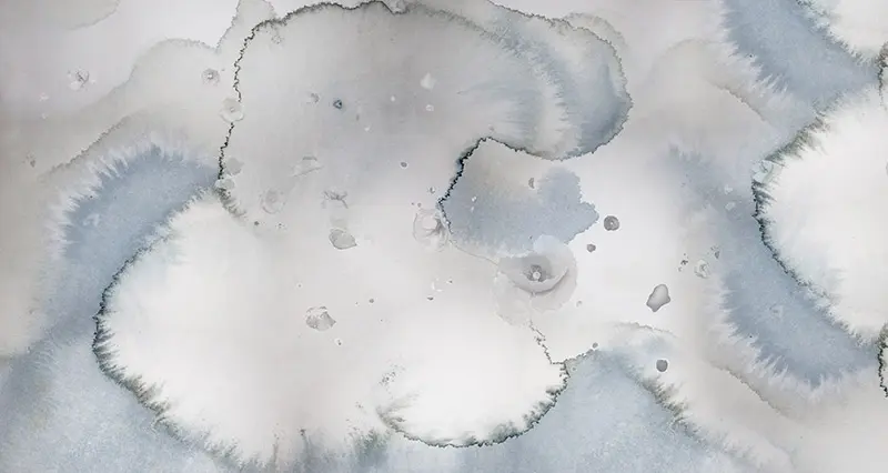 Feathr - Clouds & Poppies - Blue & White