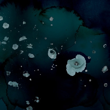 Clouds & Poppies - Dark Teal