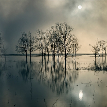 Mostra il prodotto Cloudy Lake - Original del produttore Feathr