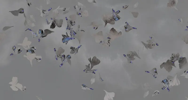 Feathr - Cocoon - Fog