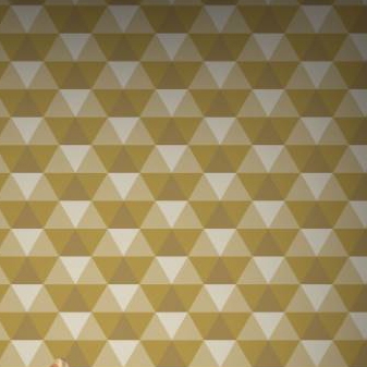 Crystal Trompe L’Oeil - Gold