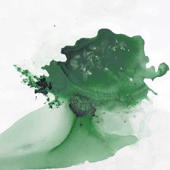 Afficher le produit Dreamy - Moss du fabricant Feathr