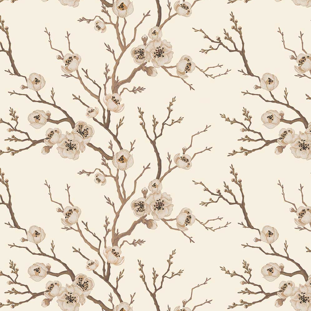 Eastern Secret - Cream