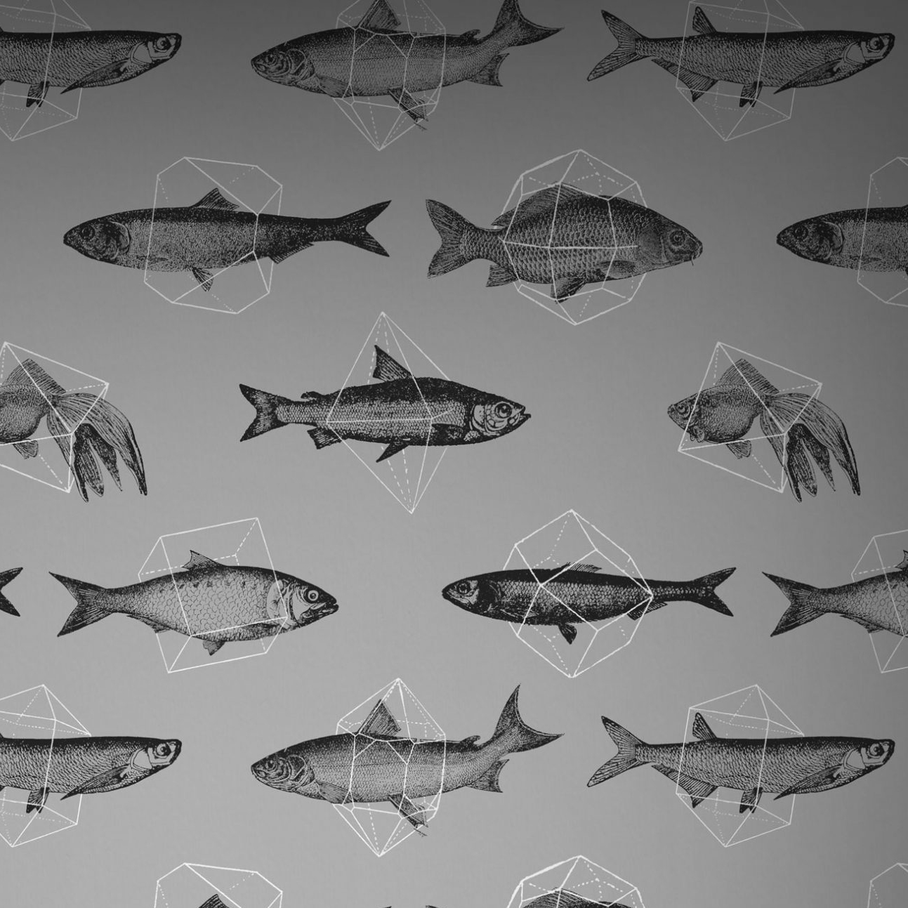 Fishes In Geometrics - Silver