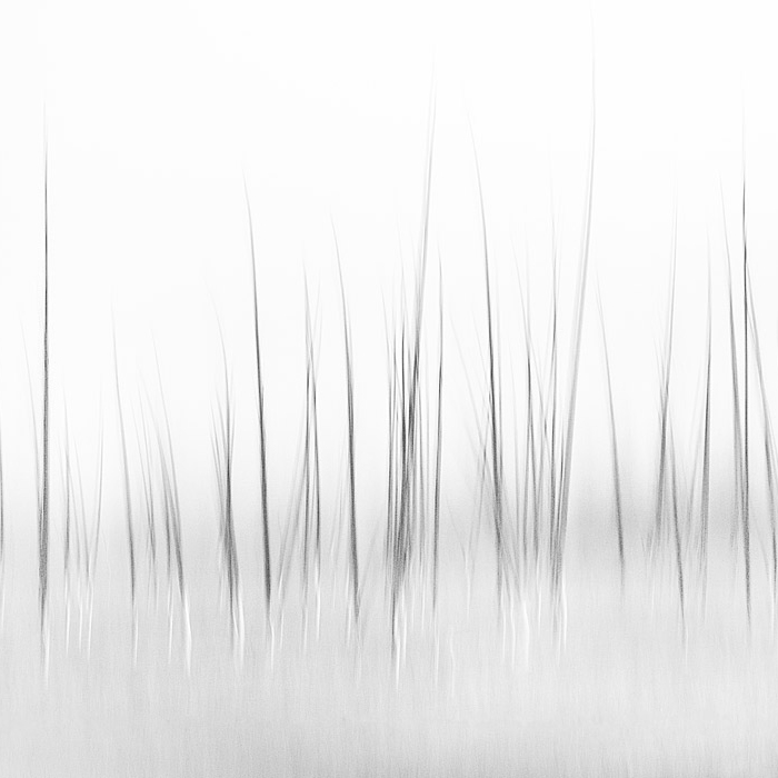 Display product Grassland - Original from manufacturer Feathr