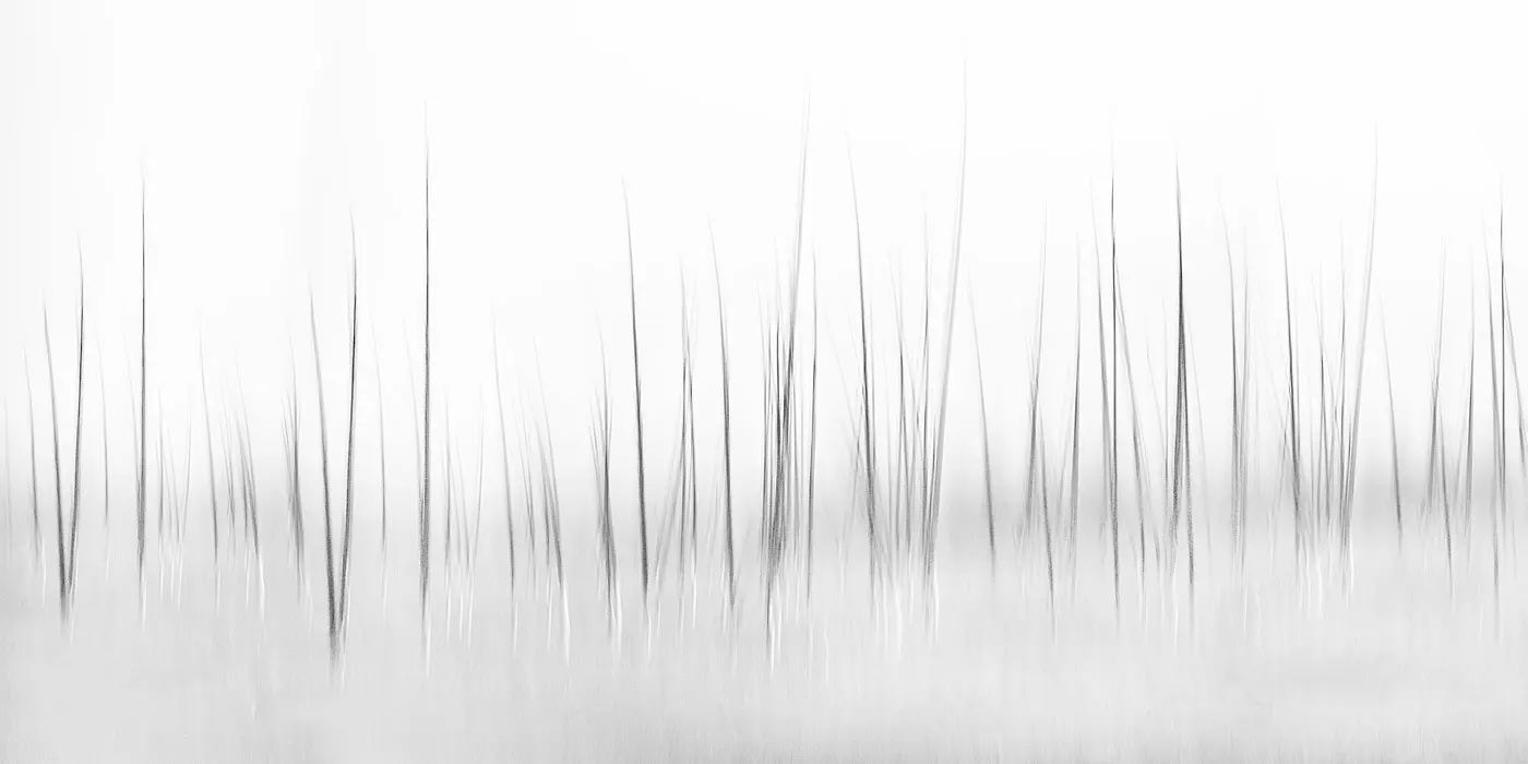 Feathr - Grassland - Original