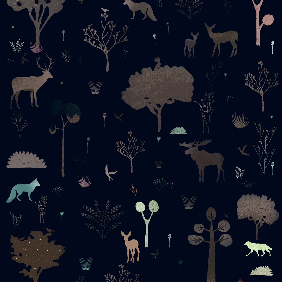 House Of Nature - Night