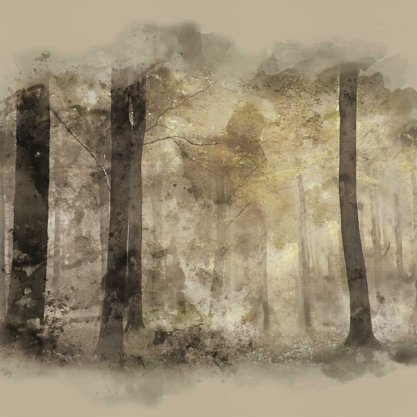 In the Glade - Autumn