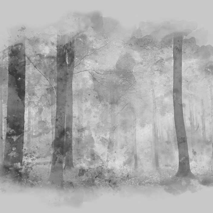 In the Glade - Monochrome
