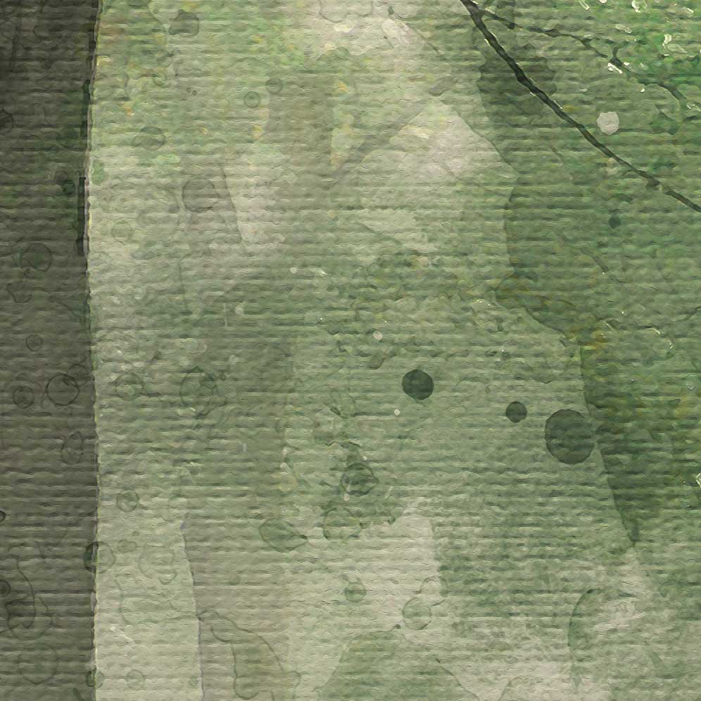 Display product In the Glade - Summer from manufacturer Feathr